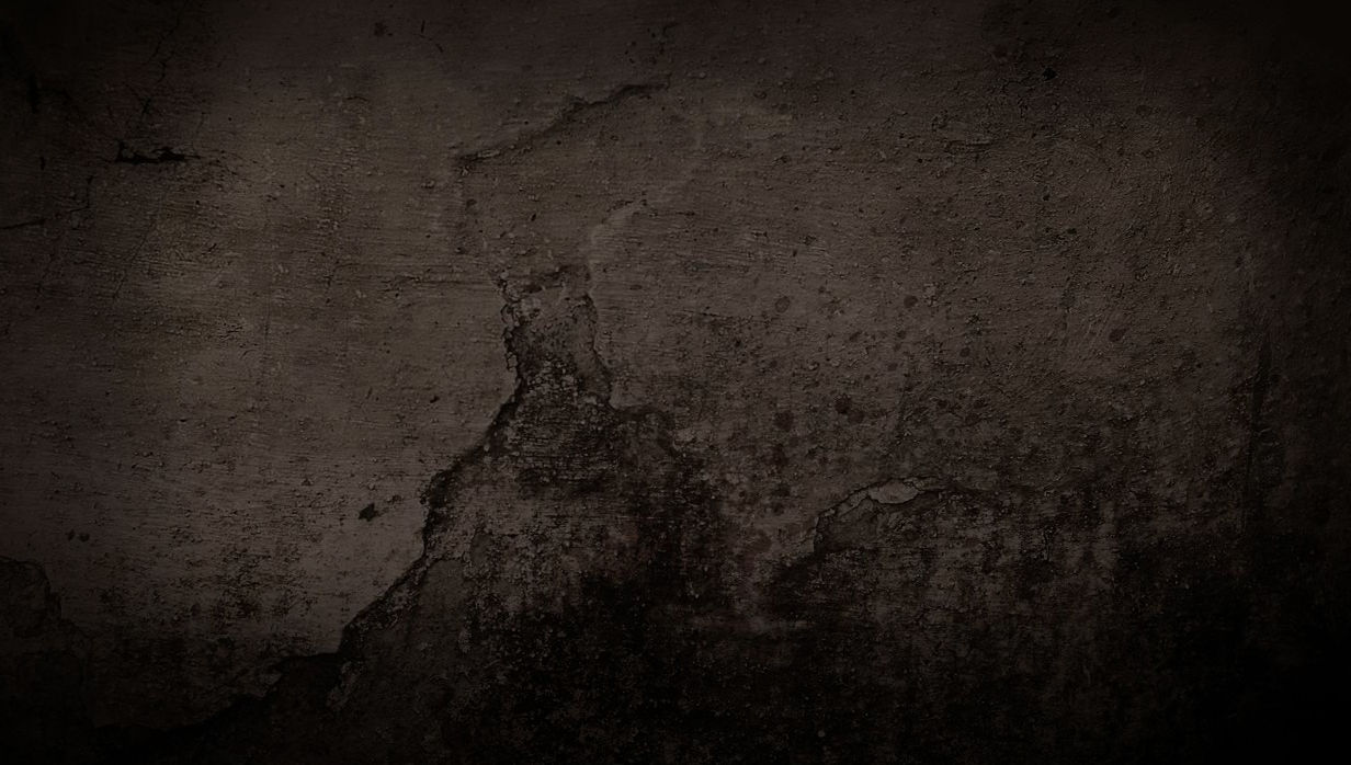 fondo
